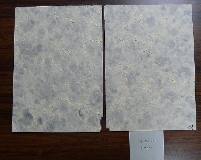 不燃処理前後比較